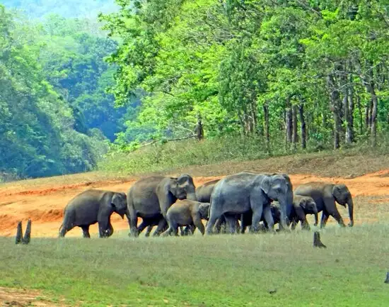 Thekkady